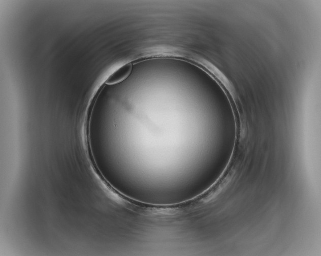 X0000115791293200911201324