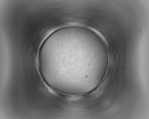 X0000115791294200911201324