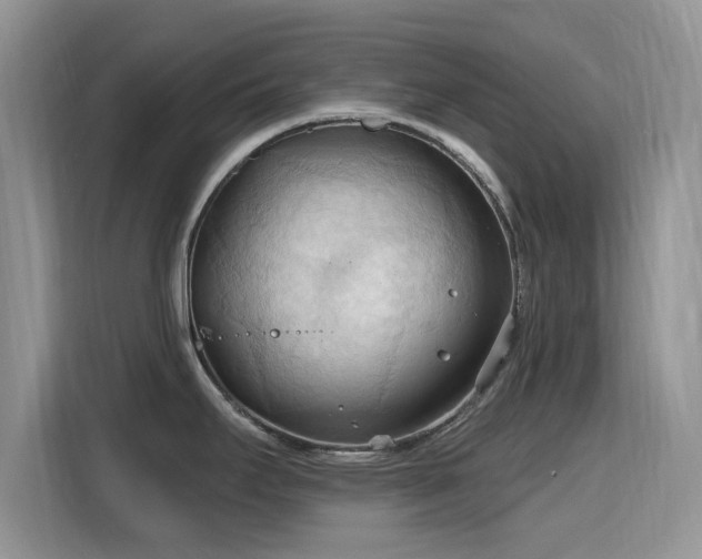 X0000115791295200911201324