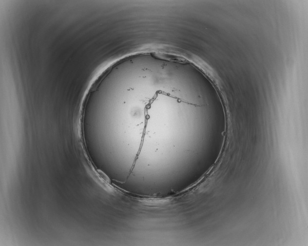 X0000115791296200911201324