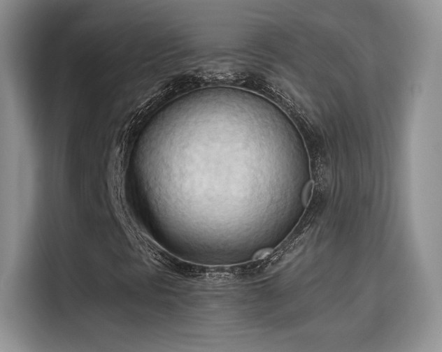 X0000115791297200911201324