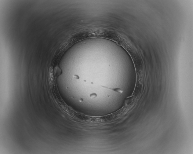 X0000115791298200911201324