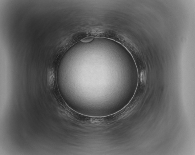 X0000115791299200911201324