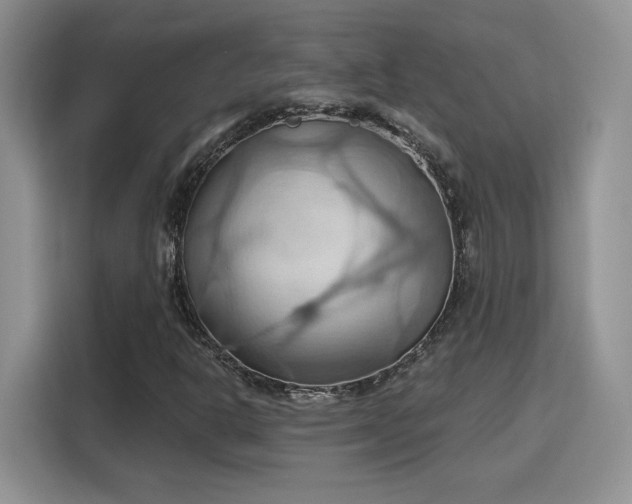 X0000115791302200911201324