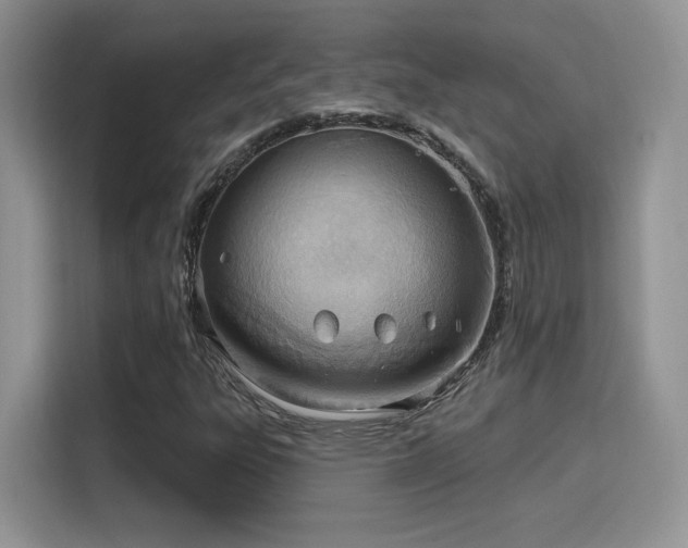 X0000115791303200911201324