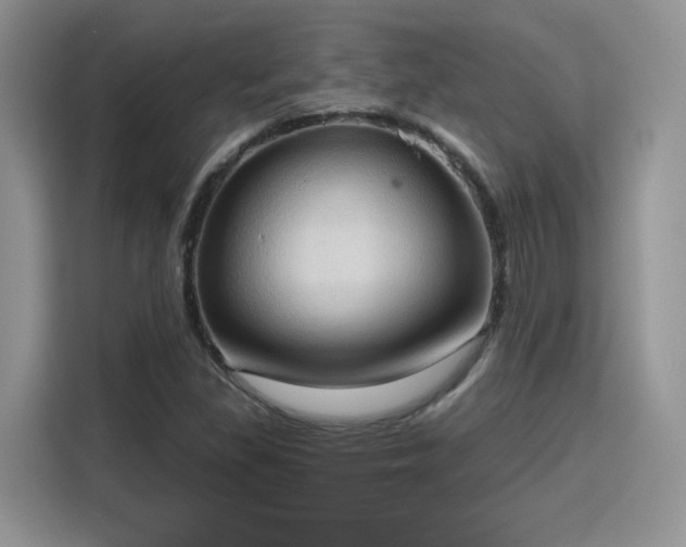 X0000115791309200911201324