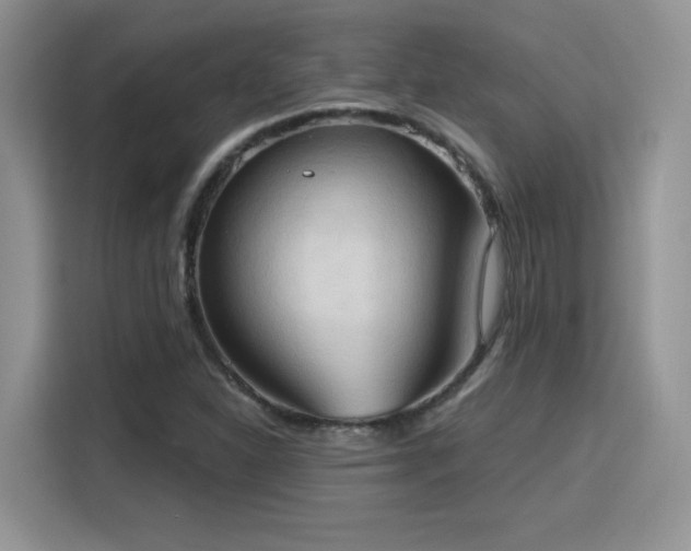 X0000115791310200911201324