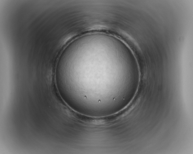 X0000115791313200911201324