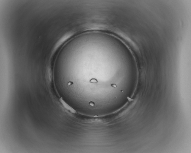 X0000115791317200911201324