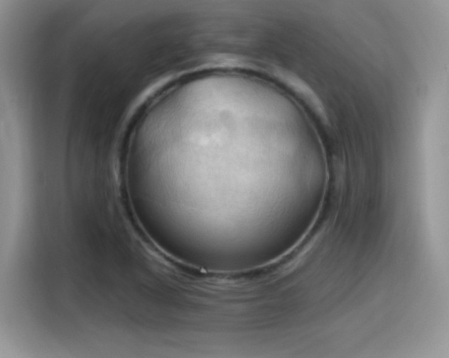 X0000115791318200911201324