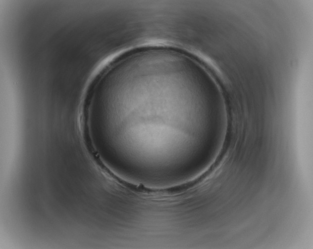 X0000115791319200911201324