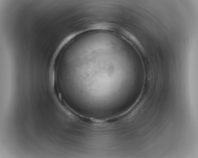 X0000115791323200911201324