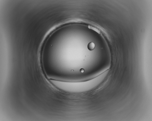 X0000115791326200911201324