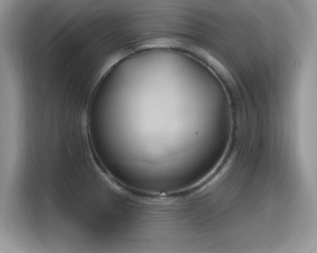 X0000115791329200911201324