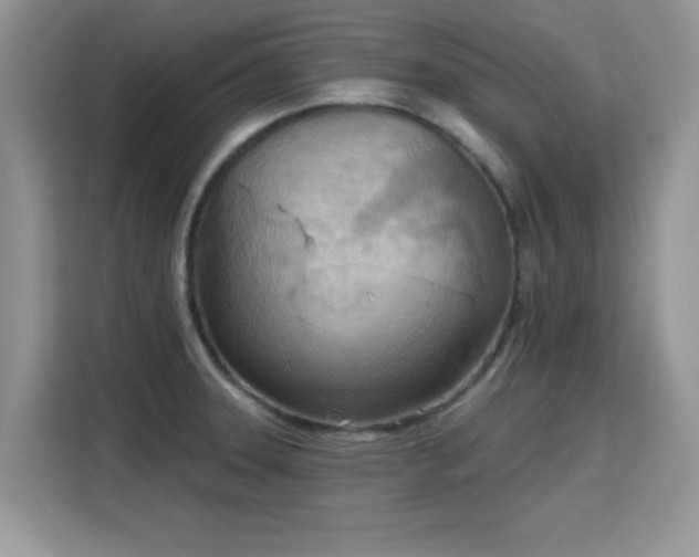 X0000115791331200911201324