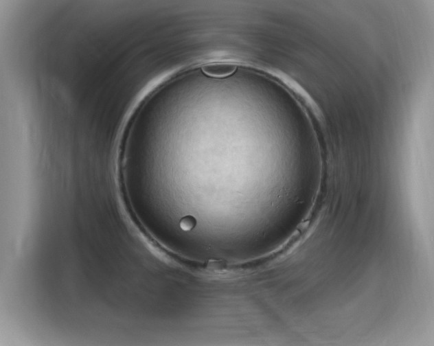 X0000115791333200911201324