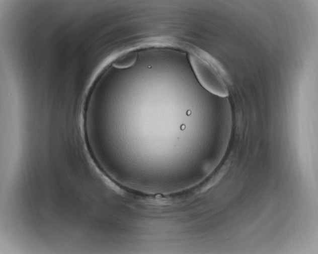 X0000115791334200911201324