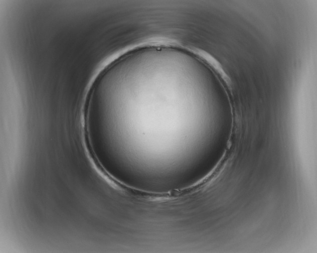 X0000115791335200911201324