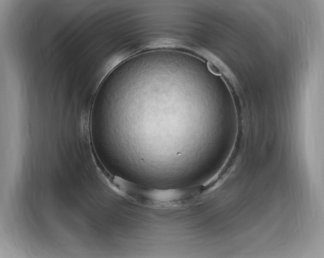 X0000115791337200911201324