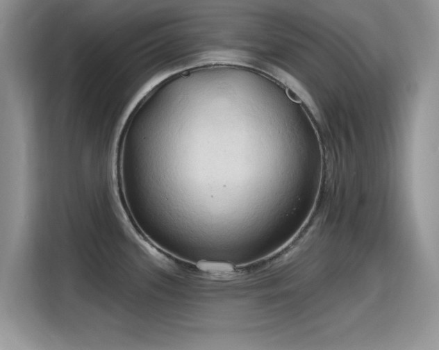 X0000115791339200911201324