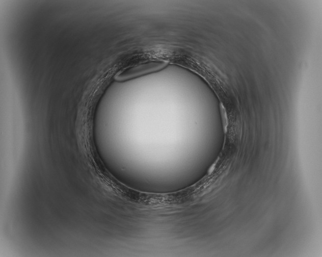 X0000115791345200911201324