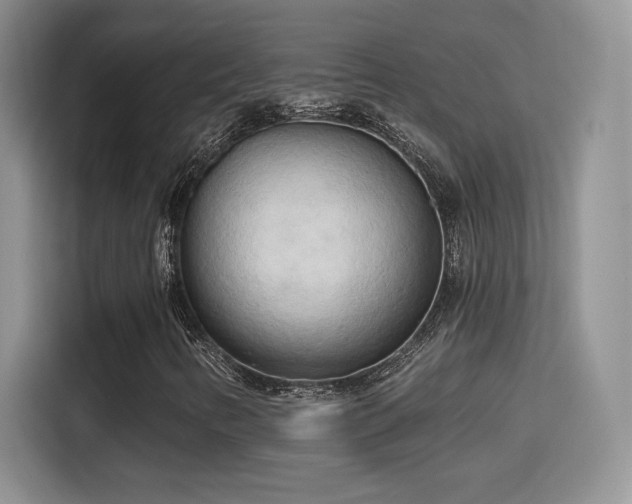 X0000115791346200911201323