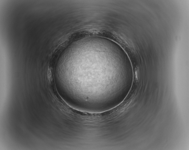 X0000115791347200911201323