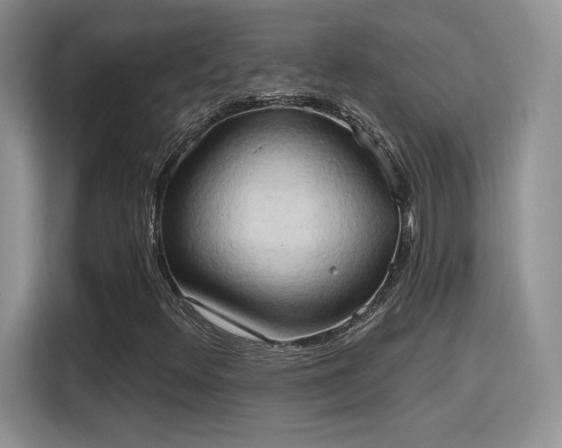 X0000115791348200911201323