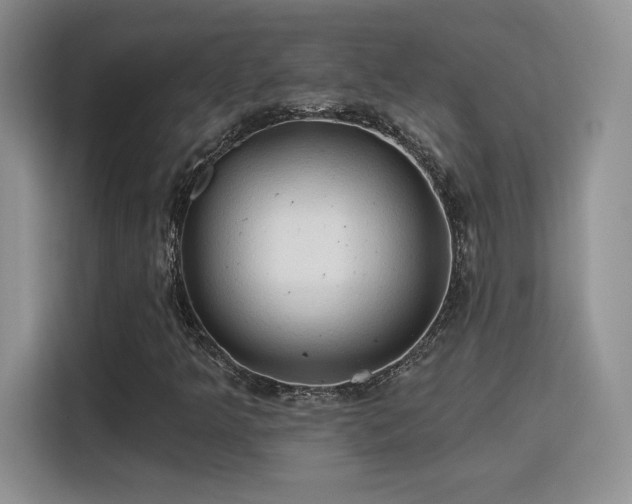 X0000115791349200911201323