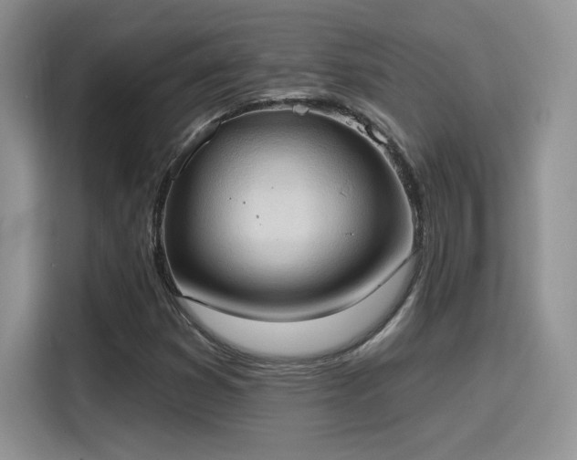 X0000115791353200911201323