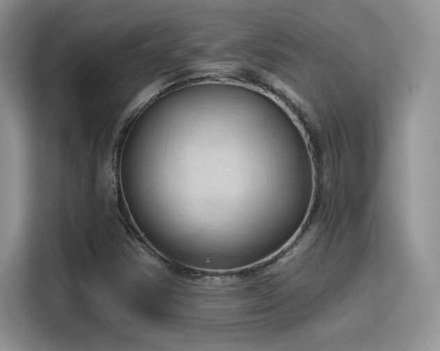 X0000115791354200911201323