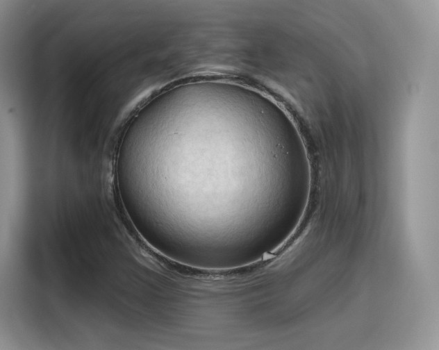 X0000115791355200911201323