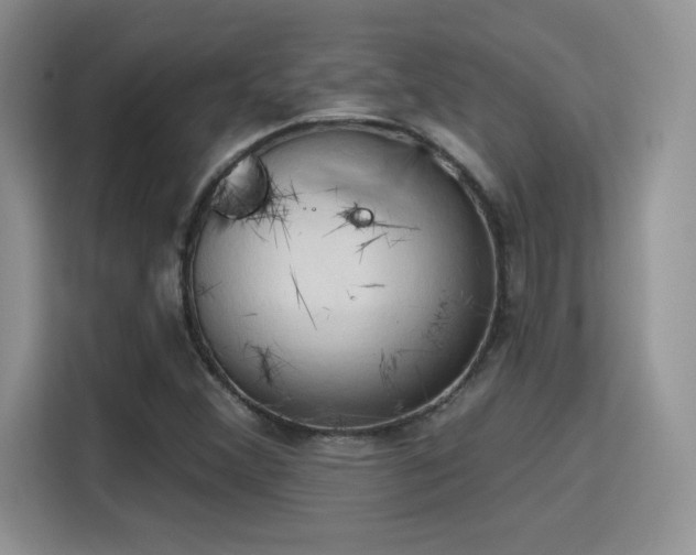 X0000115791356200911201323