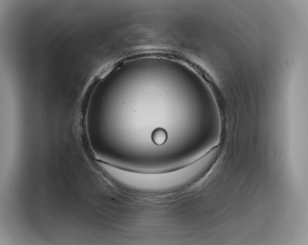 X0000115791357200911201323