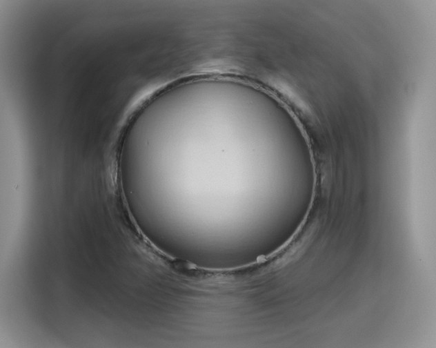 X0000115791358200911201323