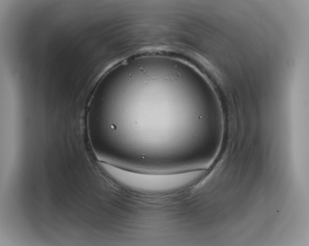 X0000115791361200911201323