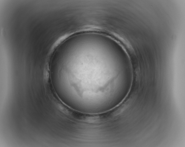 X0000115791363200911201323