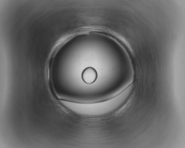 X0000115791365200911201323