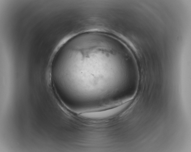 X0000115791367200911201323