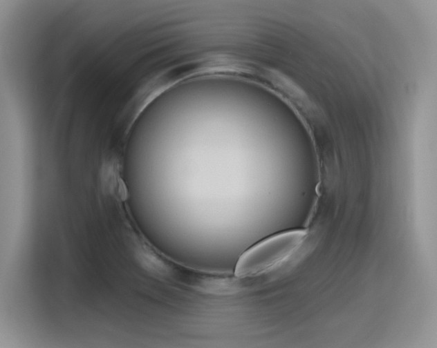 X0000115791369200911201323