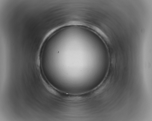 X0000115791372200911201323