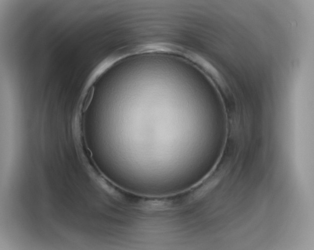 X0000115791373200911201323