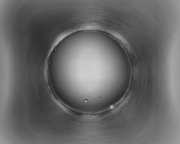 X0000115791374200911201323