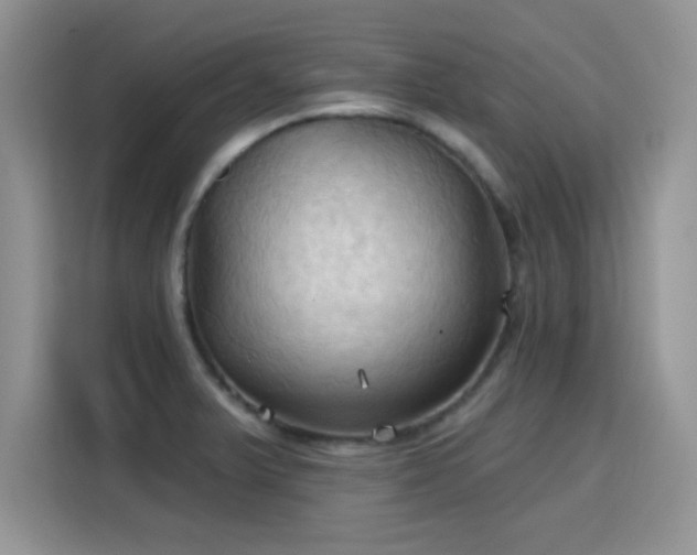 X0000115791375200911201323