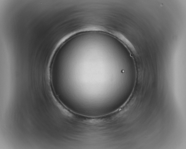 X0000115791380200911201323