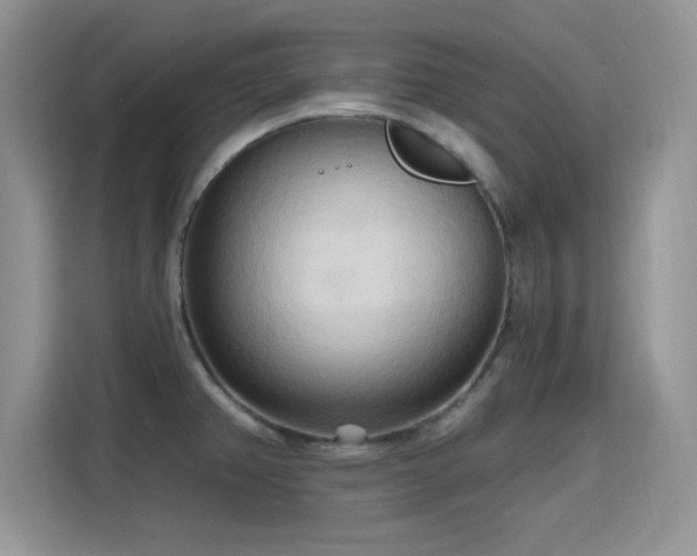 X0000115791382200911201323