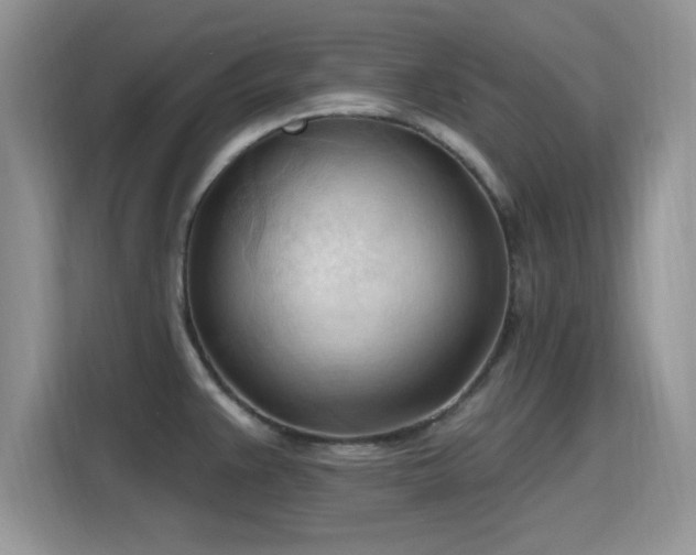 X0000115791383200911201323