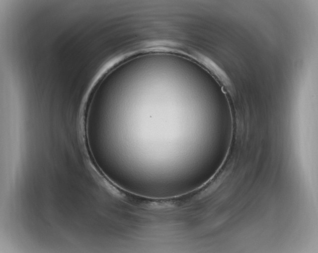 X0000115791384200911201323