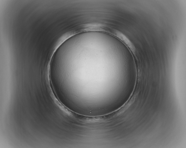 X0000115791386200911201323