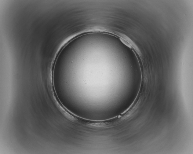 X0000115791388200911201323